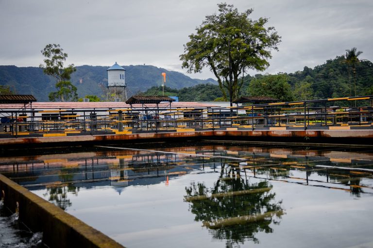 Niveles del servicio de agua no han bajado pese a las lluvias