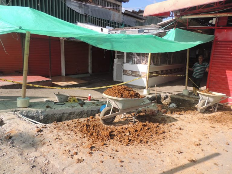 Se ampliaría reposición de redes en plaza El Jardín