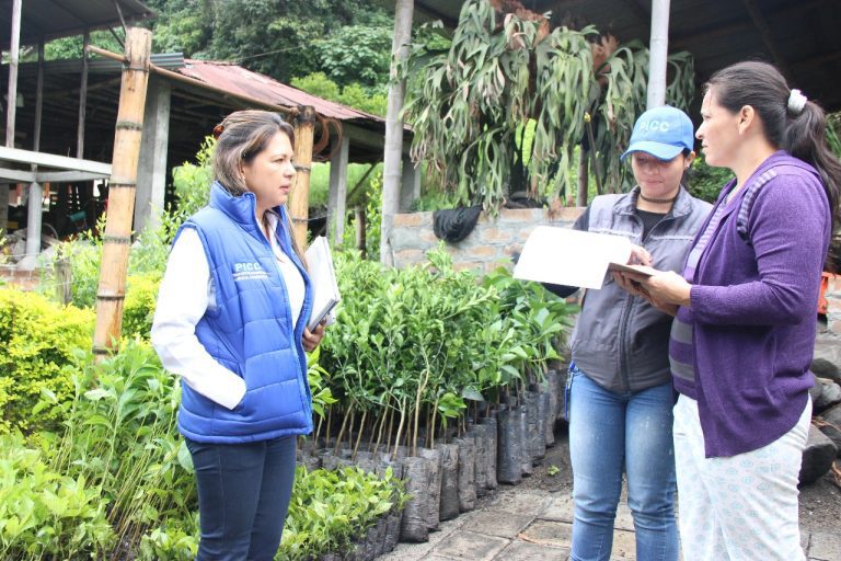 Más de 40 mil árboles se sembrarán en el Cañón del Combeima