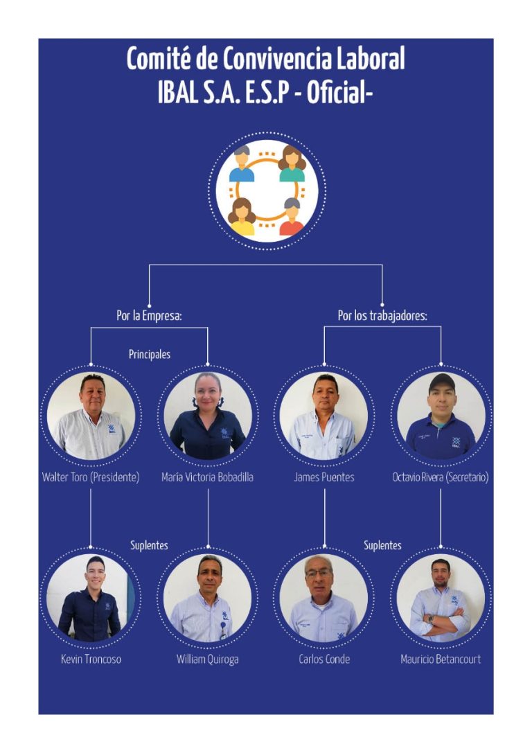 Comité  de Convivencia Laboral
