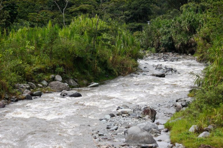 Alcaldía de Ibagué, Gobernación del Tolima y Cortolima trabajan de manera articulada en la protección de la Cuenca del Combeima