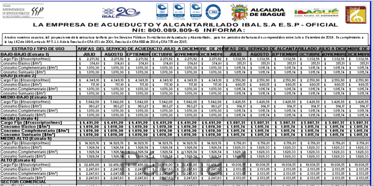 Proyección estructura tarifaria del segundo semestre del año 2019