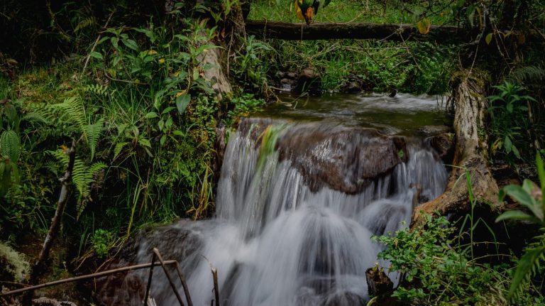 Combeima, Cay y Chembe: Las fuentes abastecedoras de agua en Ibagué