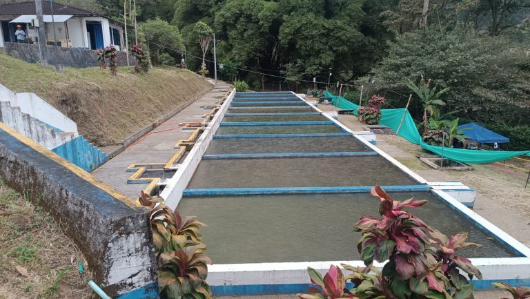 Por alta turbiedad en la quebrada Chembe fue cerrada la captación en la planta