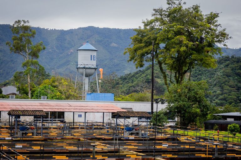 IBAL repara válvula de distribución que afecta el servicio de agua en el Centro