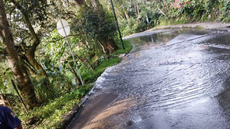 IBAL atiende daño en línea de refuerzo de agua potable que afecta suministro en más de 50 barrios