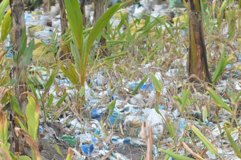 Sin contaminación por plástico en el IBAL