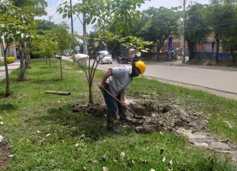 comuna_siete01